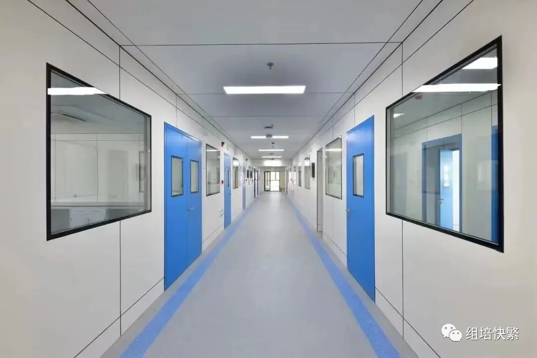 組培工廠(chǎng)凈化建設(shè)與設(shè)備器材配置